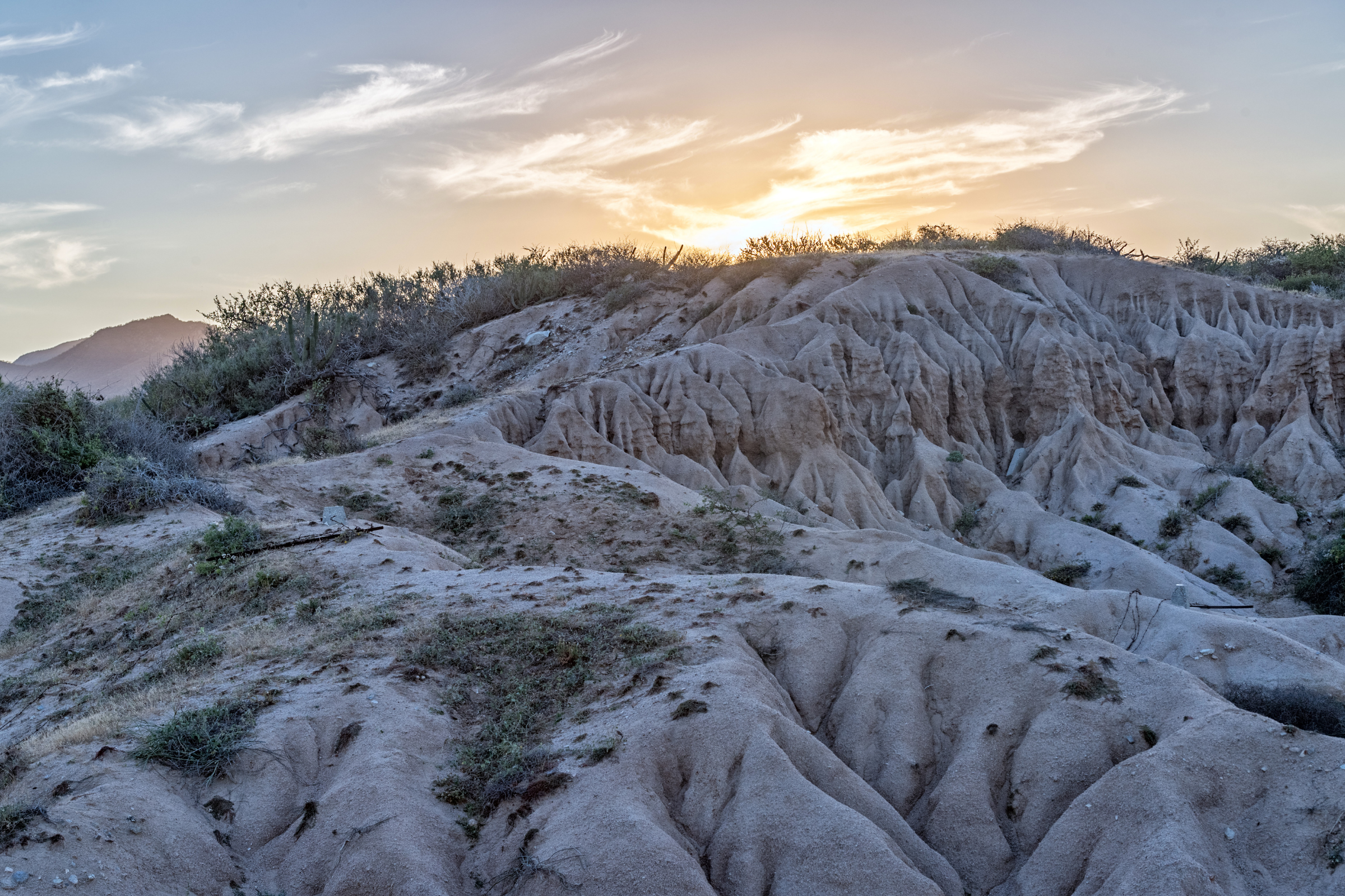 cabo pulmo national park.webp